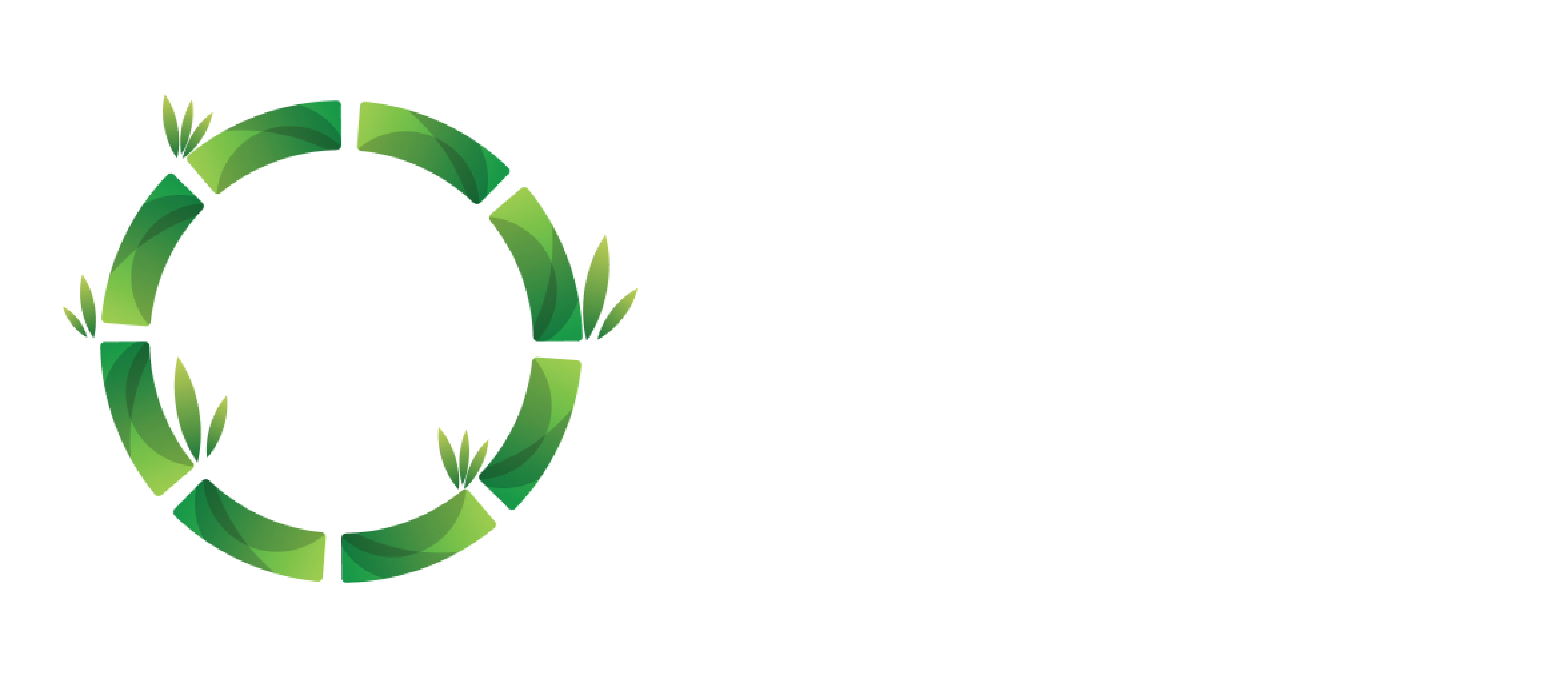 BBO TECH